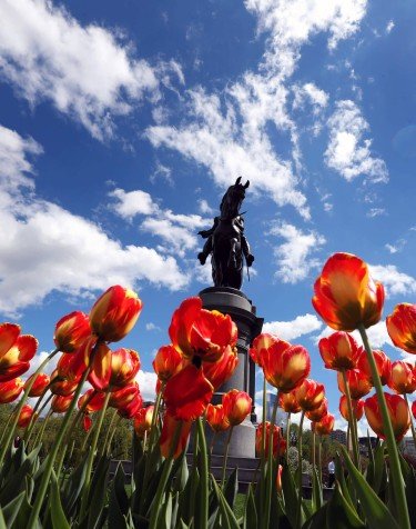 Horoscope Boston Spring